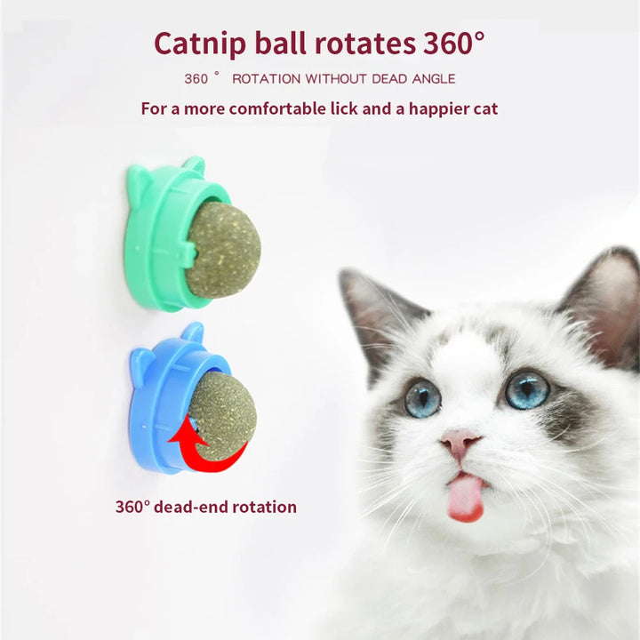 Catnip Mint Wall Ball Pro