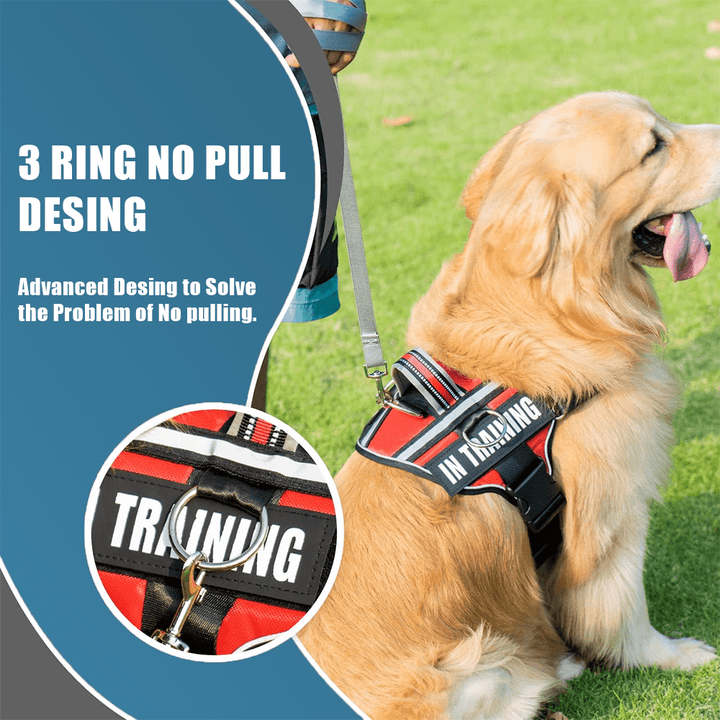 The Original PetsPaws Personalized Dog Harness