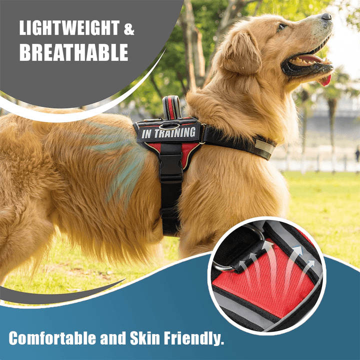 The Original PetsPaws Personalized Dog Harness