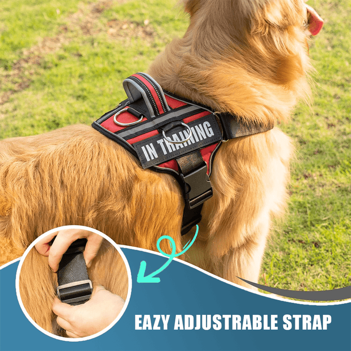 The Original PetsPaws Personalized Dog Harness