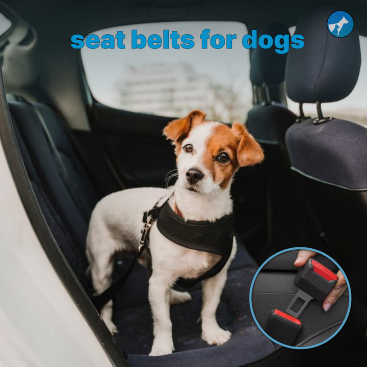 Car Seatbelt For Dogs