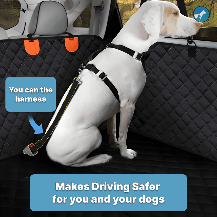 Car Seatbelt For Dogs