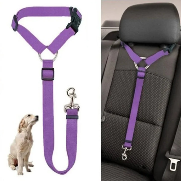 SolidSafe® 2-in-1 Pet Seat Belt & Leash