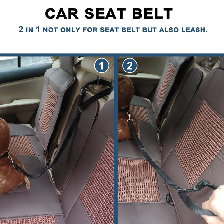 SolidSafe® 2-in-1 Pet Seat Belt & Leash