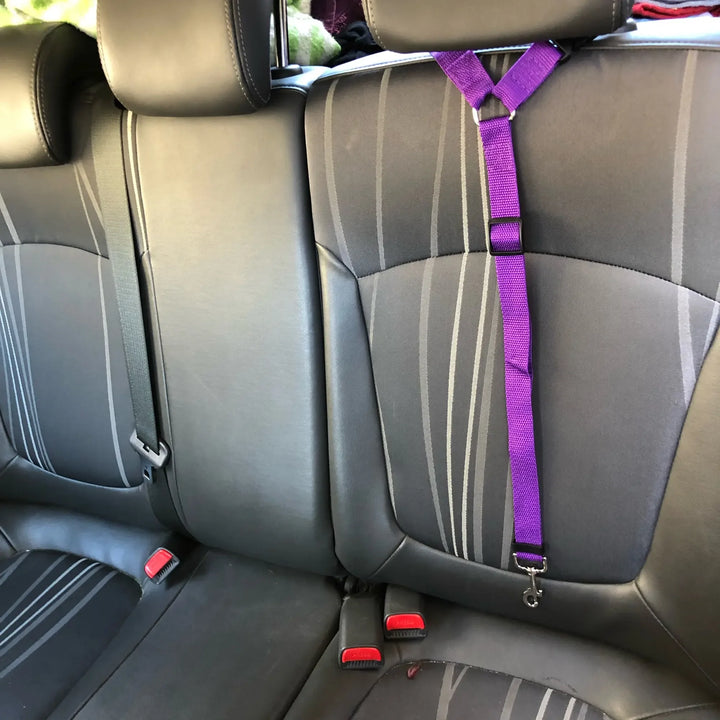 SolidSafe® 2-in-1 Pet Seat Belt & Leash