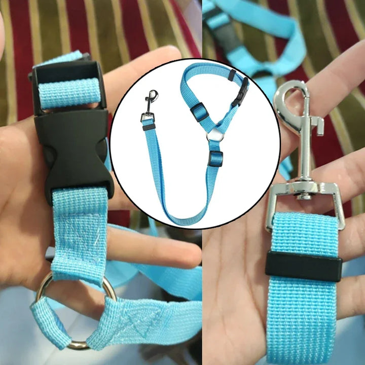 SolidSafe® 2-in-1 Pet Seat Belt & Leash