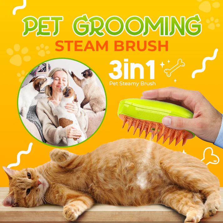 Steamy Brush Pro