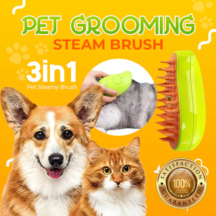 Steamy Brush Pro