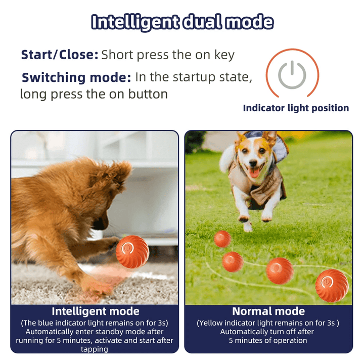 Electronic Interactive Pet Toy